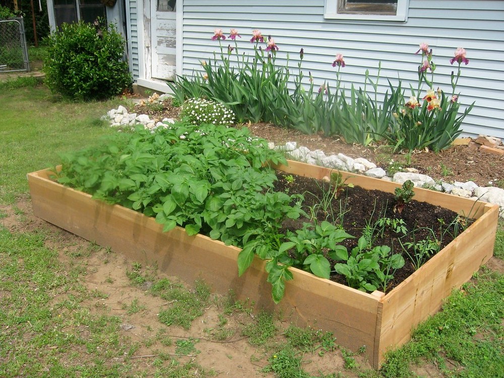 Raised garden bed